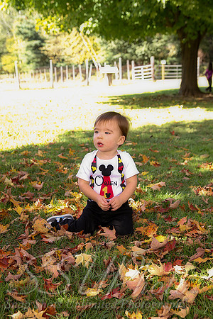 0178Owen1