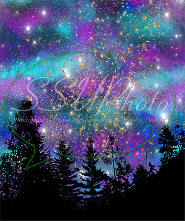 Starssky19