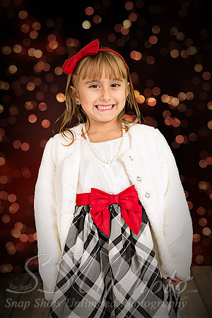 rosachristmas201500001