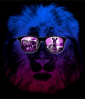 PopArt Animals-photos