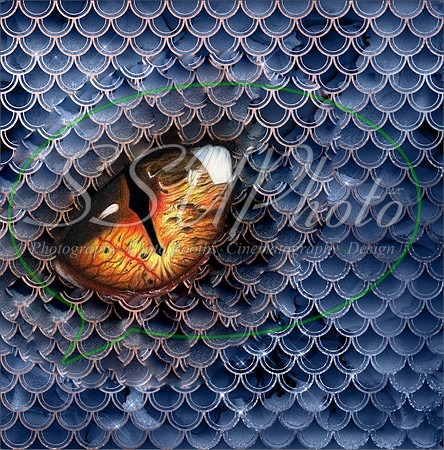 DragonEyes217