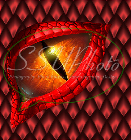 Dragon eye16