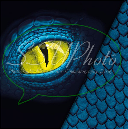 DragonEyes24