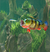 3d Fishing3