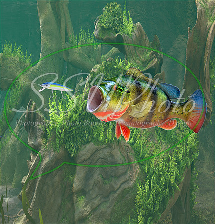 3d Fishing3