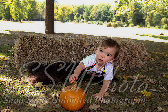 0097Owen1