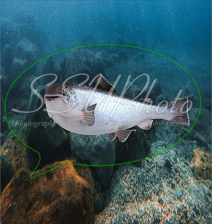 3d Fishing8