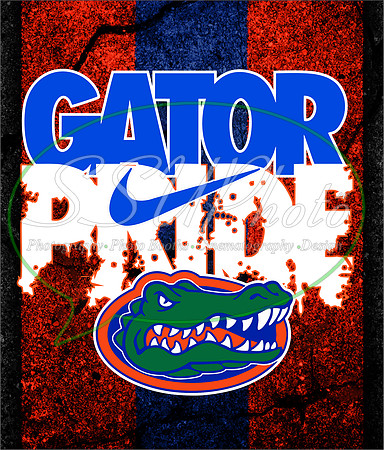 Gators19