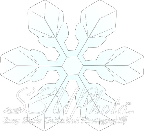 119716248031791723TheresaKnott_snowflake1_svg_hi