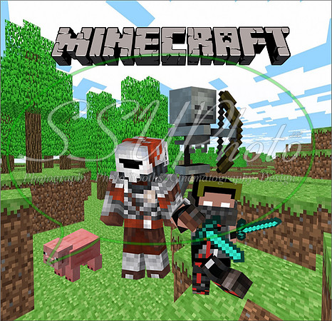 MinecraftA26