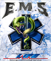 EMS11