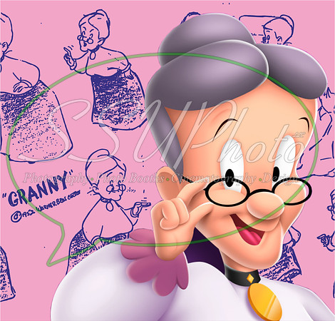 LoonyToons19