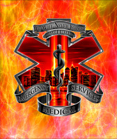EMS3