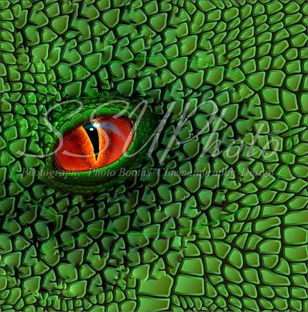DragonEyes29