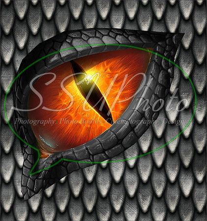 Dragon Eyes7
