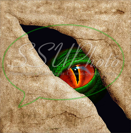 DragoneyesTurn5