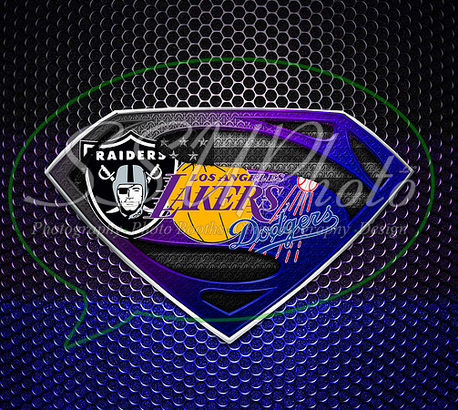 raiderlakerdodger