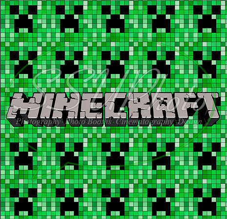 MineCrafts8