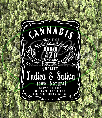 42031