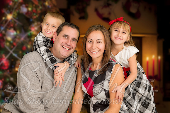 rosachristmas201500043