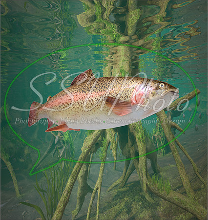 3d Fishing12
