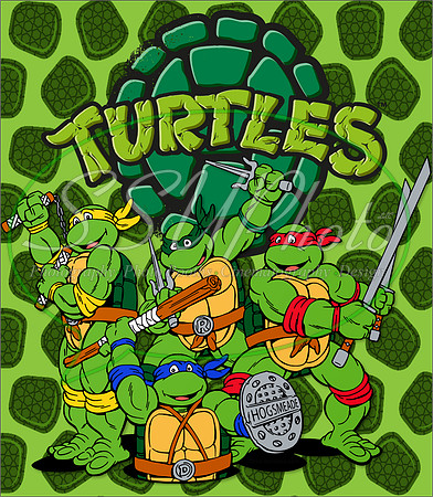 TMNT29