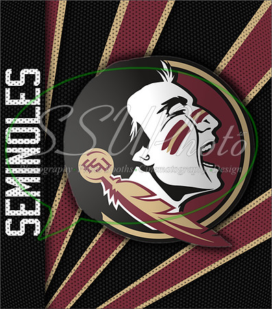 FSU13