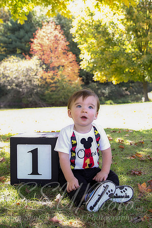 0030Owen1
