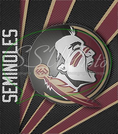 FSU14