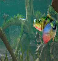 3d Fishing14