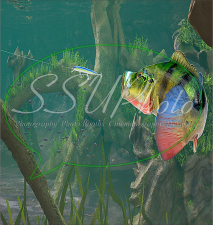 3d Fishing14