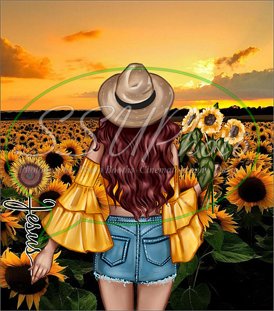 Sunflowers06
