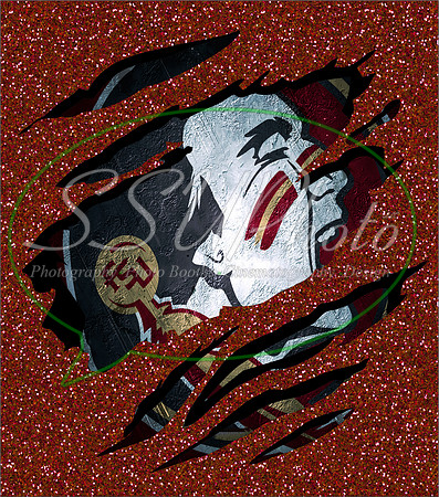 FSU7