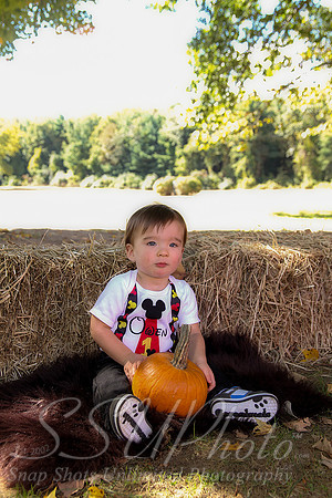 0080Owen1