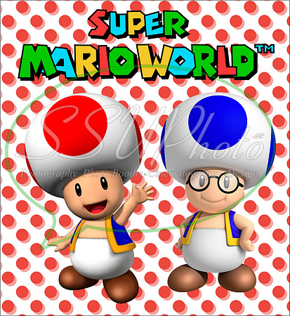 SuperMariopatterns19