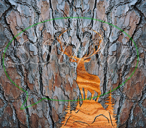 EngravedHunt_Straight