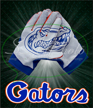 Gators08