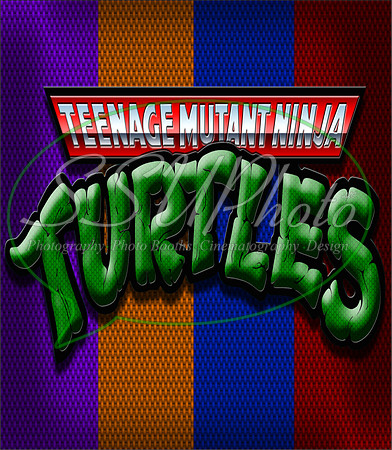 TMNT24