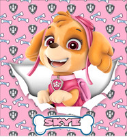 PawpatrolPatterns9