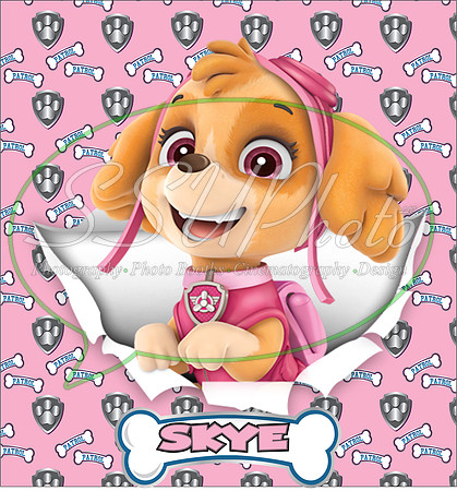 PawpatrolPatterns9