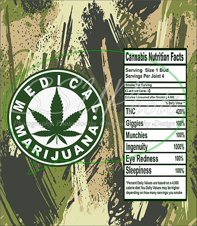42033