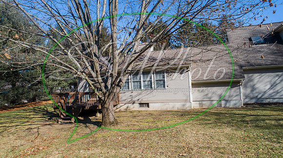 0116802meadowview