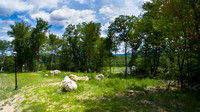 TheRanch00121