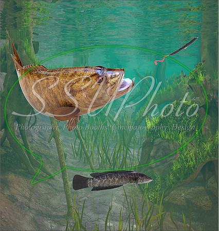 3d Fishing6