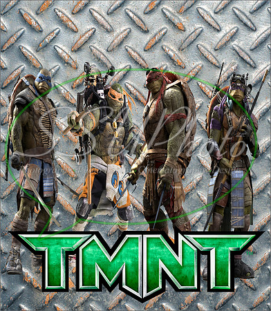 TMNT215