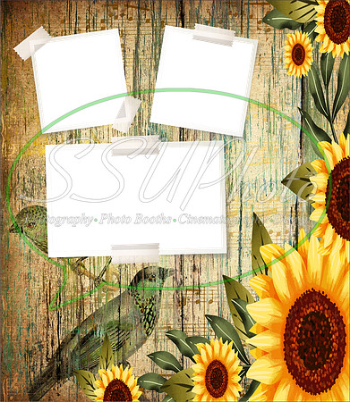 PhotoFrames17