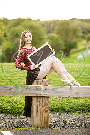 vivseniorphotos2020519