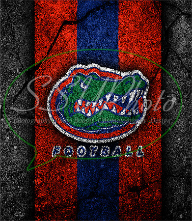 Gators20