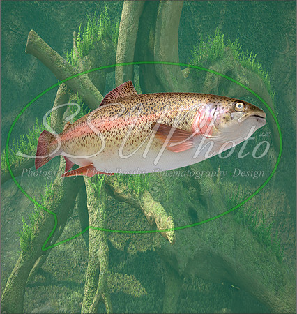 3d Fishing7