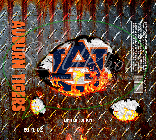 Auburn Tigers